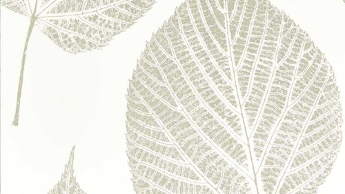 Leaf 112609